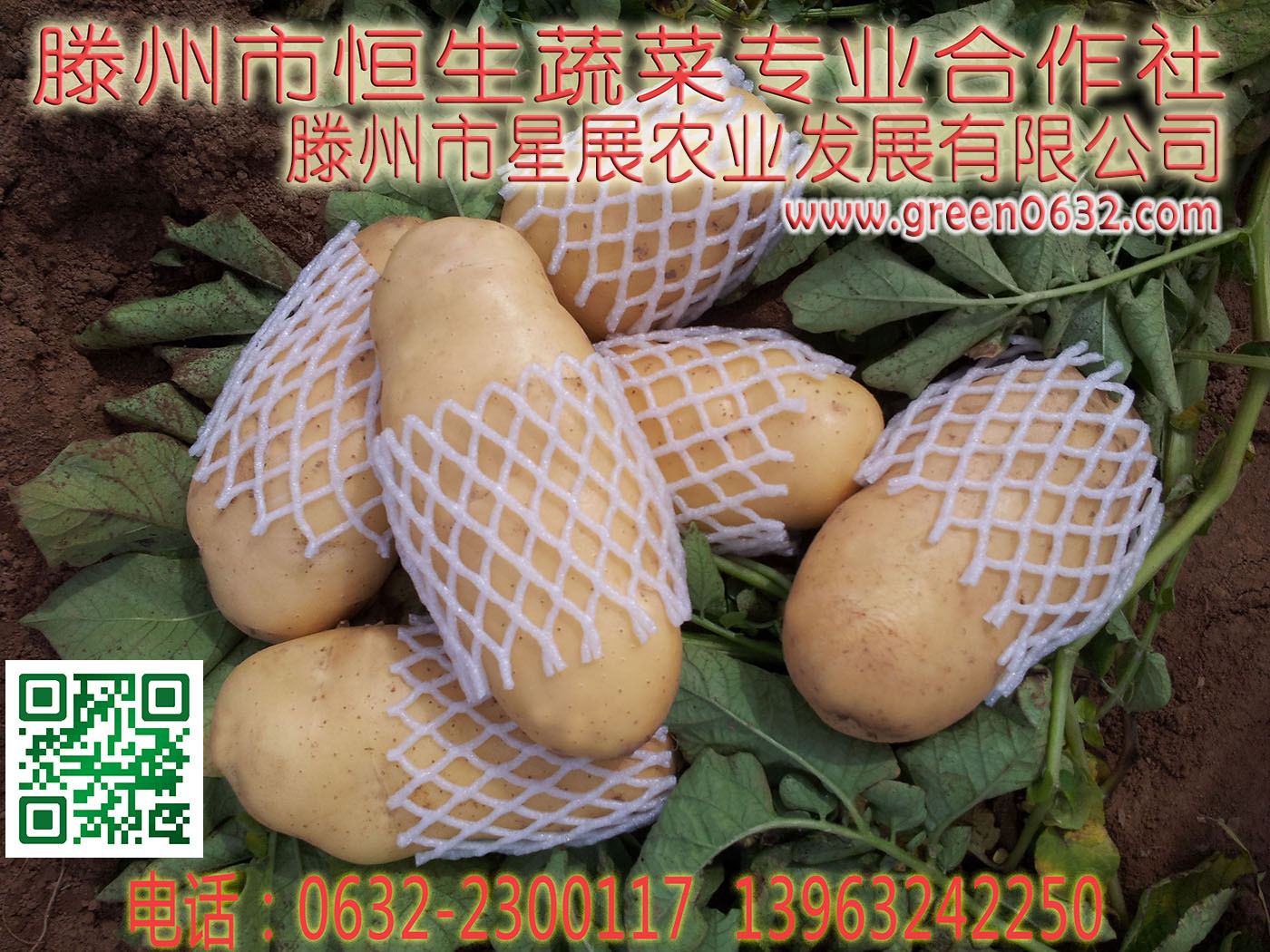 文章附图