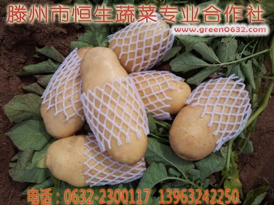 2021山东滕州大坞土豆最新价格