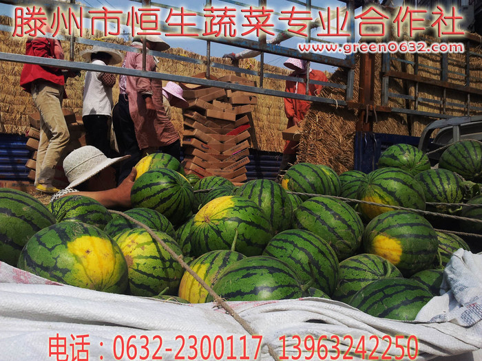 山东西瓜 山东西瓜