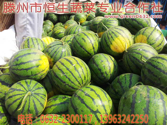 大坞西瓜 大坞西瓜