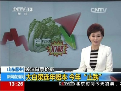 CCTV新闻频道对我土豆白菜合作社专访