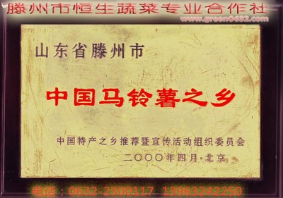 山东滕州大坞土豆