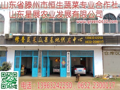 山东省滕州市恒生蔬菜专业合作社