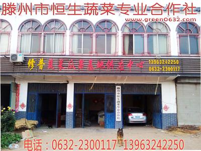 山东省滕州市恒生蔬菜专业合作社